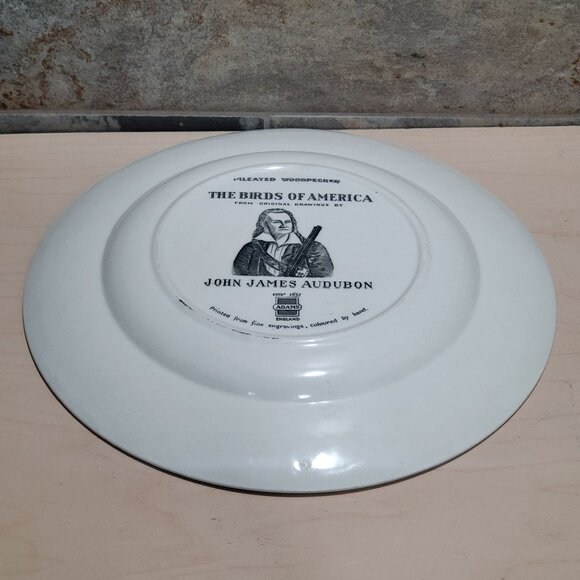 Vintage Adams England Audubon Birds of America Pileated Woodpecker Decorative Pl - Picture 5 of 11